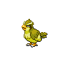 Shiny Pidgey