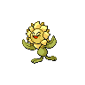 Shiny Sunflora