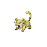 Shiny Rattata