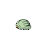 Shiny Swinub