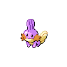Shiny Mudkip