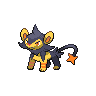 Shiny Luxio