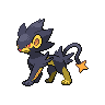 Shiny Luxray