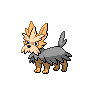 Shiny Herdier