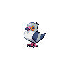 Shiny Pidove