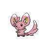 Shiny Minccino