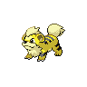 Shiny Growlithe